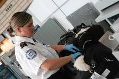 TSA Handout