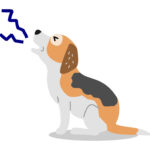 GAO to DOL: Your Union Watchdog Is All Bark, No Bite