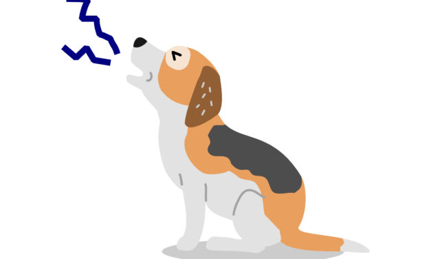 GAO to DOL: Your Union Watchdog Is All Bark, No Bite