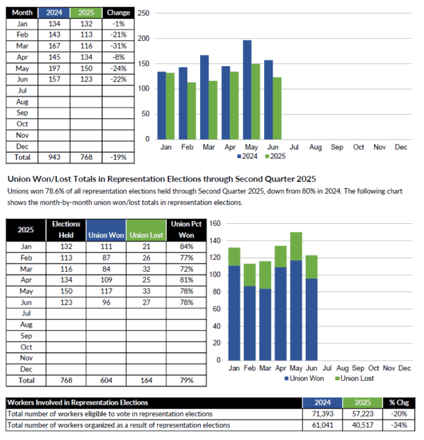 The LRI RightNow Q2 2025 Petitions and Elections Review Is Here