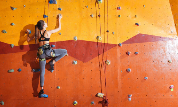 Climbing the Walls: Another Fine Workers United Mess